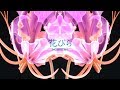 【MV】花びら - NORISTRY / petal
