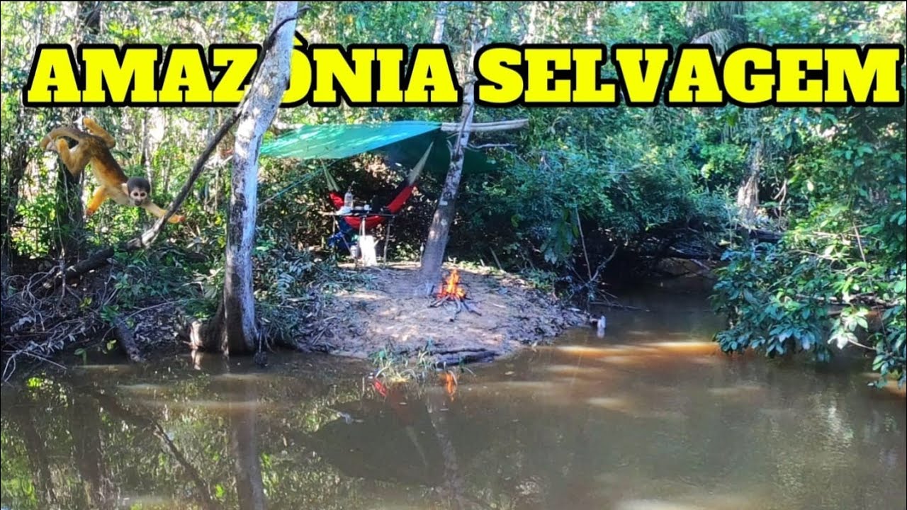 ACAMPANDO E PESCANDO NO NORTE DO BRASIL .🏕 🏕