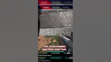 Valorant Player Plays Apex