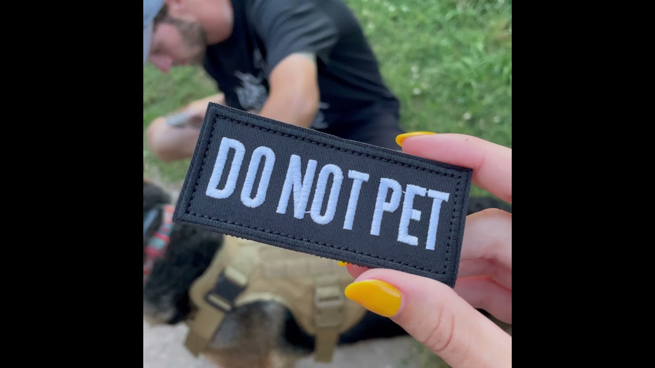 Tactical Harness - Sarah Rein Review