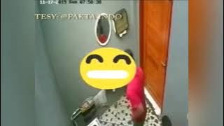 Terekam CCTV !! Mereka Gak Sadar Kejadian ini Direkam, Momen Paling Memalukan Terekam