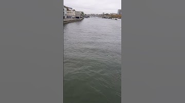 المال والبنون زينة الحياة الدنيا والباقيات الصالحات خير عند ربك توابا وخيراملا(سورة الكهف )❤❤