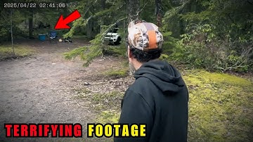 6 ontmoetingen in het bos waar je bang voor zult zijn