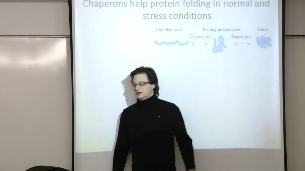 The degenerating brain: From research to hope - Fifth Lesson