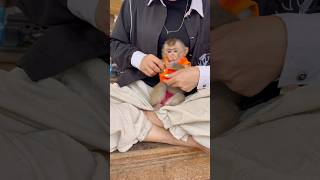 Susu Looked Very Handsome After His Mother Dressed Him In The Shirt.