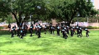 Step Up Revolution (2012 Movie) - Flash Mob Contest (Houston)