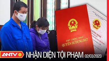Khóc ròng với “ma trận” sổ đỏ giả và những cú lừa tiền tỷ | Nhận diện tội phạm | ANTV