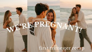 Download Lagu we're having a rainbow baby!!! finding out, first trimester recap, telling everyone, etc MP3 Download Lagu we're having a rainbow baby!!! finding out, first trimester recap, telling everyone, etc MP3