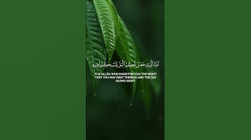 وقال ربكم ادعوني أستجب لكم🤍🕋 – تلاوة خاشعة | ياسر الدوسري