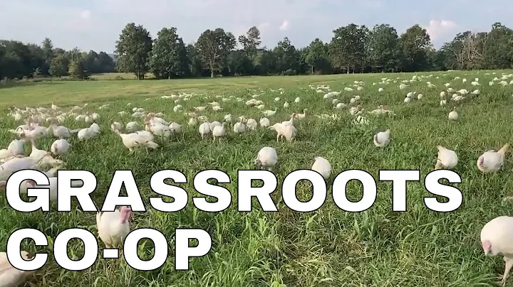 Grassroots Co-op | Interview with Cody Hopkins