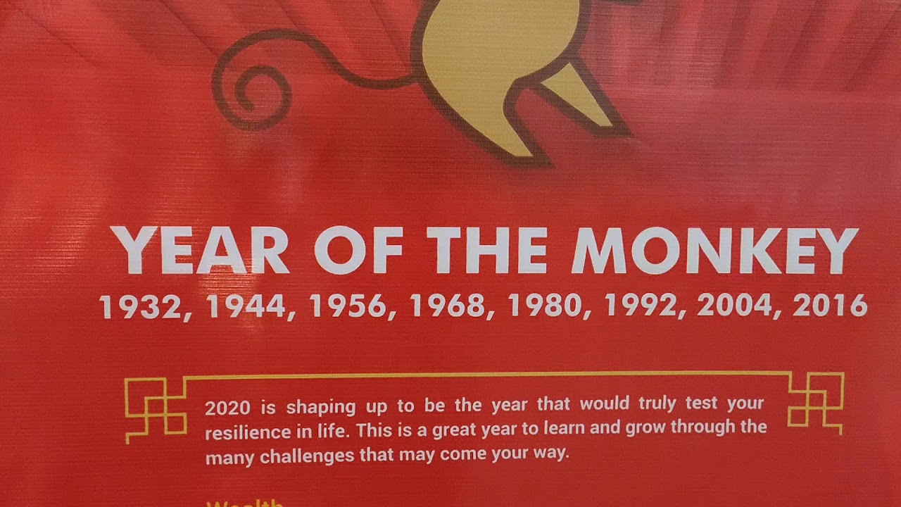 Chinese New Year Horoscope Year of the Monkey YouTube