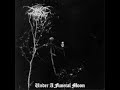 Darkthrone - To Walk the Infernal Fields