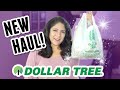 NEW Finds I Couldn't Pass Up!  Dollar Tree Haul - Valentine's, Crafts and More