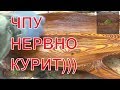 ЧПУ НЕРВНО КУРИТ В СТОРОНКЕ))))))))))))ЧУДО ЮДО РЫБА КИТ)))