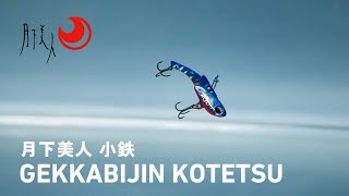 【ルアーアクション】アジ・メバル対応の小型メタルバイブレーション|月下美人 小鉄|DAIWA JAPAN Products