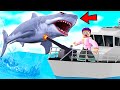 Can We Survive ROBLOX SHARKBITE?! (SHARK JUSTIN vs. SHARK ADAM!)