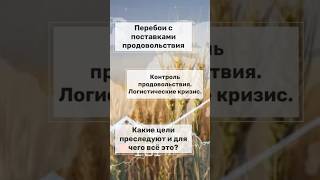 Логистический кризис. Для чего создают? #россия #tarot #таро #кризис #логистика #голодомор #крым