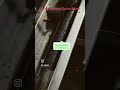 carben block manufacturing #kent#machine#ro#song#love#duet#xbox#home#music#business#jai#shorts#cat