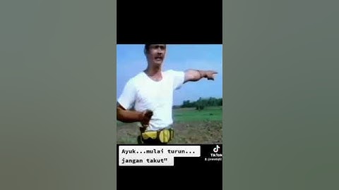 Pembalasan Si Pitung