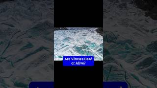 Viruses Dead or Alive