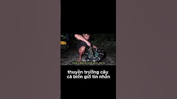 Cuộc Chiến Mệt Mỏi Với Cá Rang Một Chân #shorts