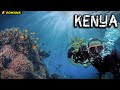 🇰🇪11 |  Un lucru UIMITOR care trebuie încercat  în Kenya! (Scuba diving, Wasini island)