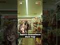 Japan’s Convenience Store Trap. #Japan#JapanTravel#JapaneseFood#Shorts