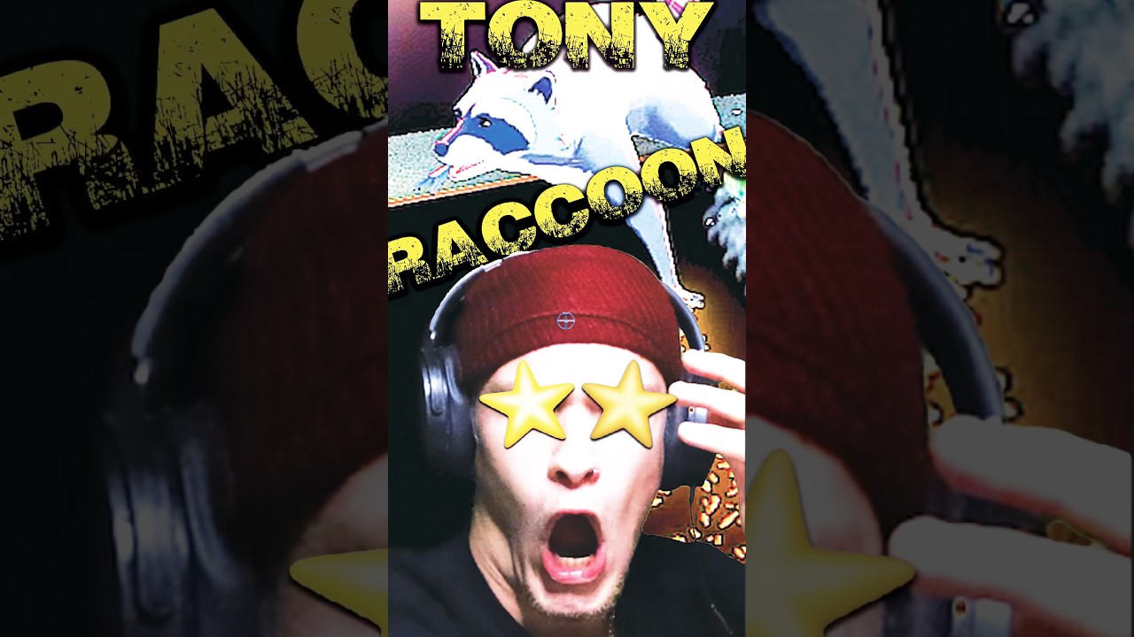 SKATEBOARDING RACCOON GAME!🛹🦝