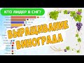 Выращивание винограда - Сравнение стран бывшего СССР (СНГ)