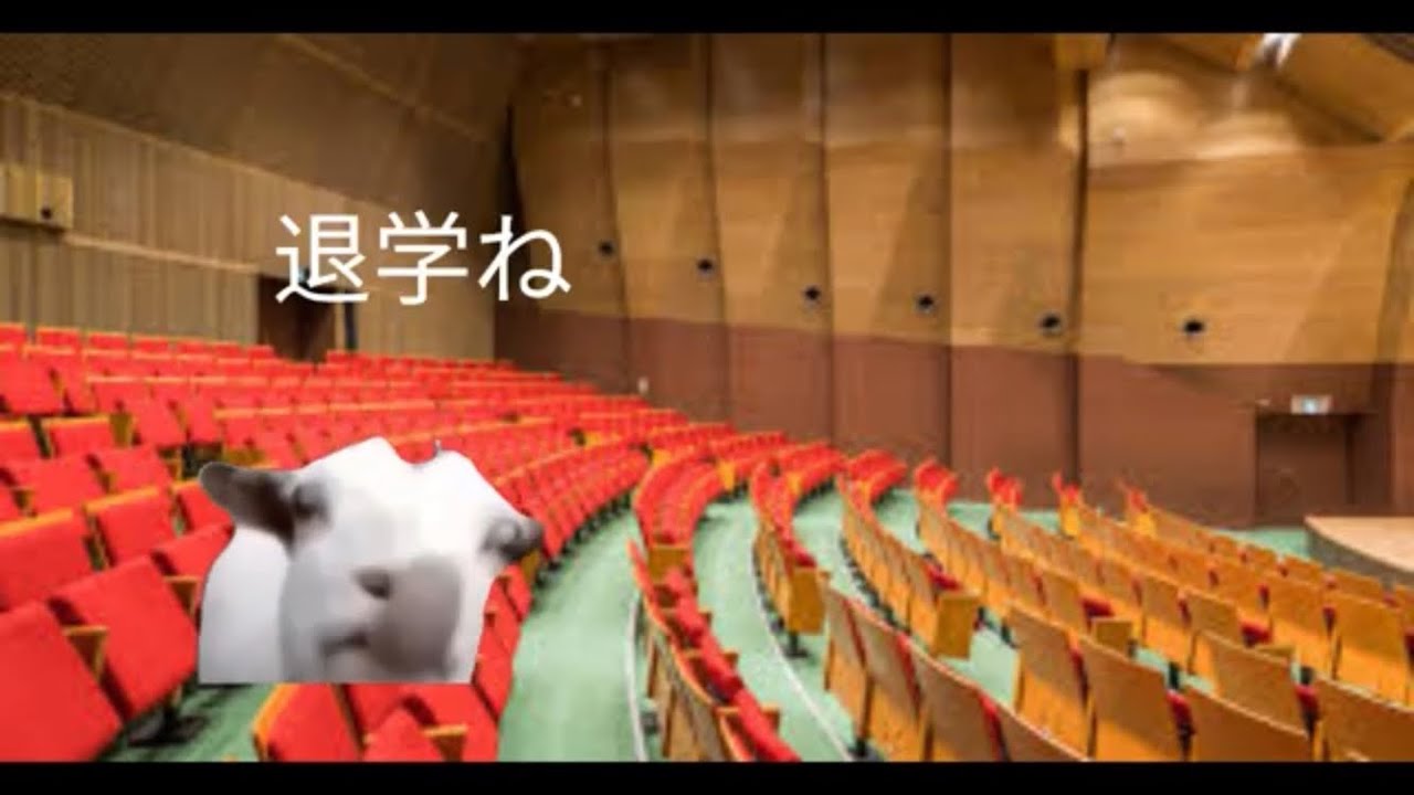 【退学率５割】スイスの大学院が地獄すぎた・・・【猫ミーム】#猫ミーム