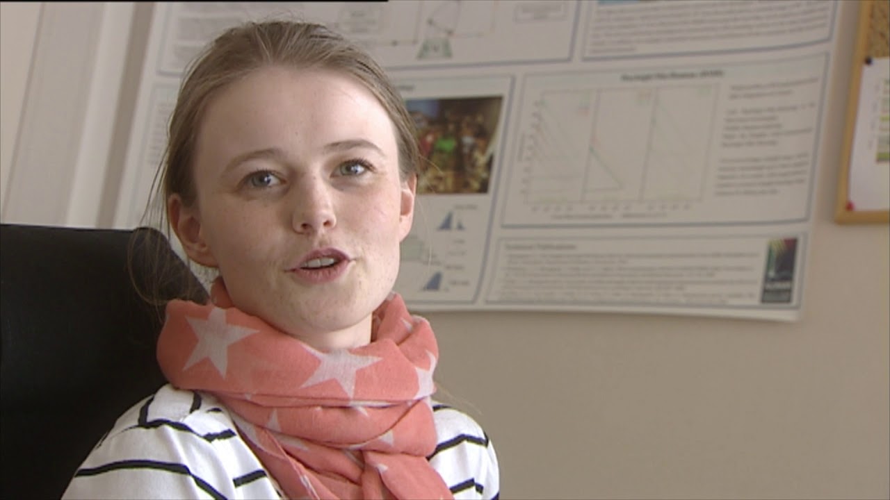 Fysiker UiT Mitt yrke