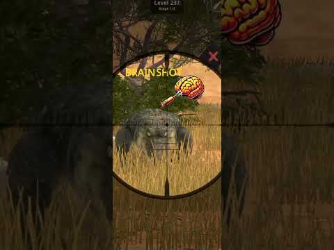 Animal hunter #games #gaming #gameplay #huntergames #hunters