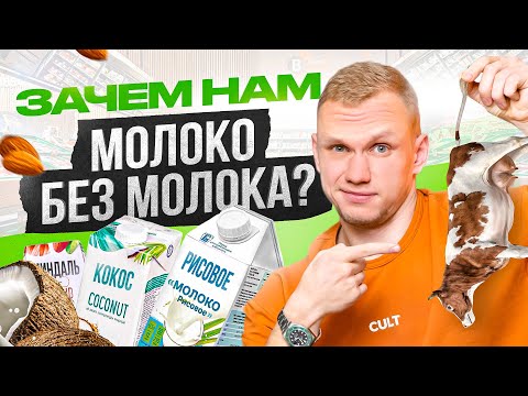 Молоко без лактозы — необходимость или заморочка богачей? Альтернативные виды молока