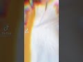 ШєЩ Ш ШІШ ШЄ ЩѓЩЉЩ ШЄрџ њрџ њрџ њрџ вќ рџ ШєЩ Ш ШІШ ШЄ ЩѓЩЉЩ ШЄрџ њрџ њрџ њрџ вќ рџ
