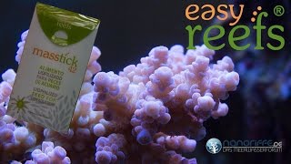 Easy Reefs - Masstick