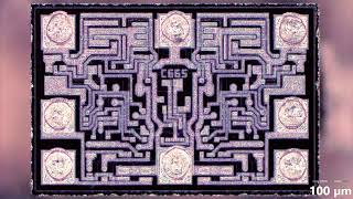 #1749 Fake LM358 De-cap