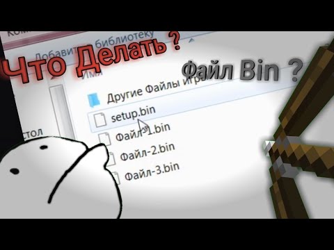 Вместо Setup скачалось Bin Файл , Что делать ?