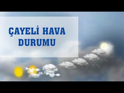 Çayeli Hava Durumu