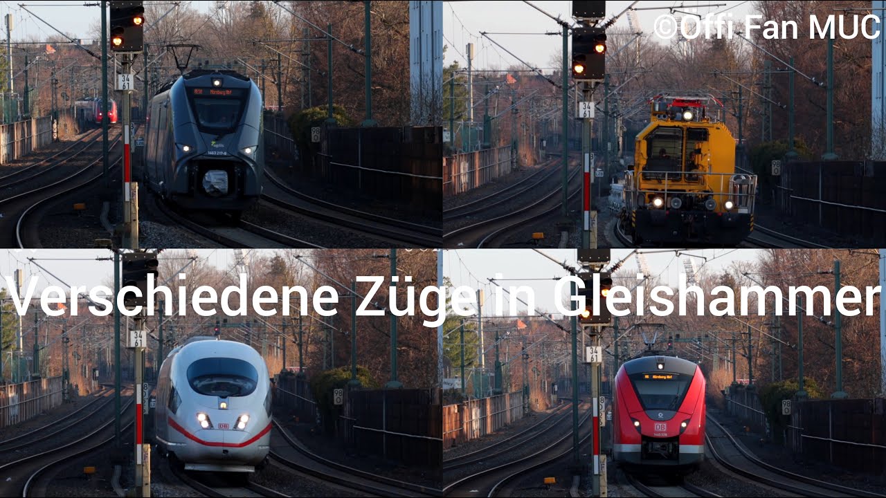 Verschiedene Züge in Nürnberg Gleishammer