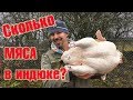 Сколько мяса в индюке - финал 2019