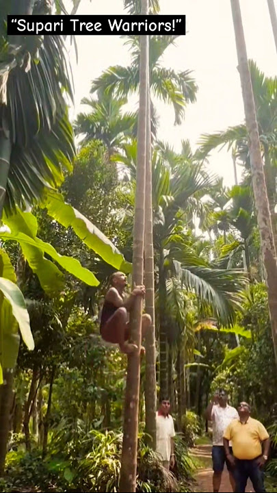 'Supari Tree Climbing –Real Life Heroes!” #trendingshorts #viralvideo #nature #viralshorts