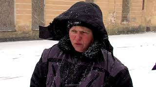 Специалисты приюта ежедневно получают вызовы с жалобами на бродячих животных Специалисты приюта ежедневно получают вызовы с жалобами на бродячих животных