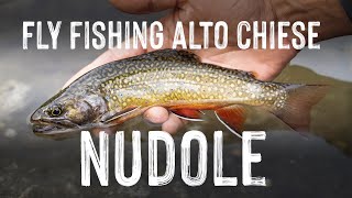 Lavezzinifly - Fly Fishing Alto Chiese Nudole [pesca a mosca salmerini, trote e temoli]