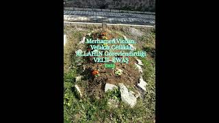 Allahin Tek Kişilik Ordusu Geldi 54 V (Âyşém)