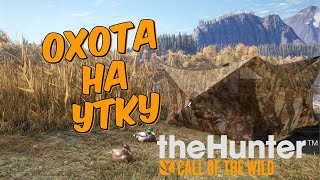 ОХОТА НА УТКУ В theHunter Call of the Wild