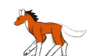 Maned Wolf walk animation (WIP)