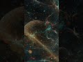 Deep Space Dream - 3