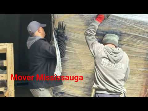 Ecoway Movers - Experienced Mover in Mississauga, ON