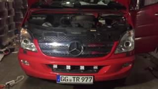 Olpe Den Yozgatlı & Zonguldaklı Misafirler Gelmiş Resimi