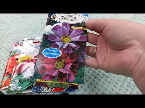 Что посеем в открытый грунт 🌷🌷🌷цветы 2021 🌷🌷🌷